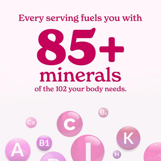 SHE-Lajit Honey Sticks